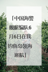 中国海警舰艇编队6月6日在我钓鱼岛领海巡航