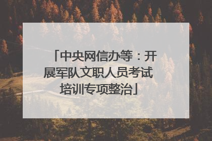 中央网信办等：开展军队文职人员考试培训专项整治