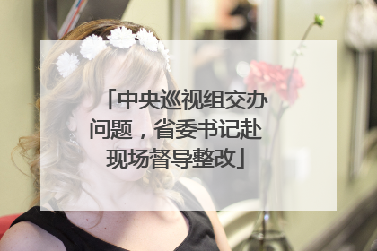 中央巡视组交办问题，省委书记赴现场督导整改