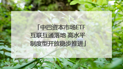 中巴资本市场ETF互联互通落地 高水平制度型开放稳步推进