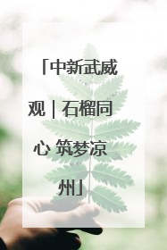 中新武威观｜石榴同心 筑梦凉州