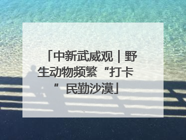 中新武威观｜野生动物频繁“打卡”民勤沙漠