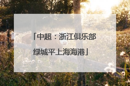 中超：浙江俱乐部绿城平上海海港