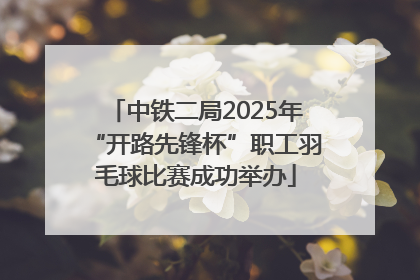 中铁二局2025年“开路先锋杯”职工羽毛球比赛成功举办