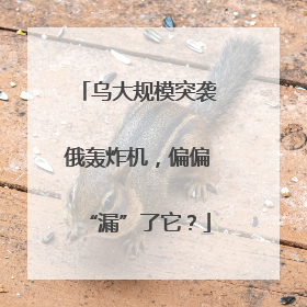 乌大规模突袭俄轰炸机，偏偏“漏”了它？