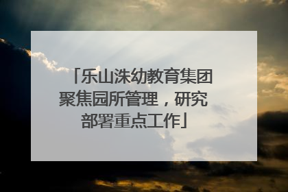 乐山洙幼教育集团聚焦园所管理，研究部署重点工作