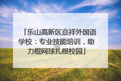 乐山高新区嘉祥外国语学校：专业技能培训，助力棍网球扎根校园