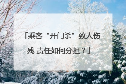 乘客“开门杀”致人伤残 责任如何分担？