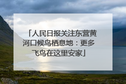 人民日报关注东营黄河口候鸟栖息地：更多飞鸟在这里安家
