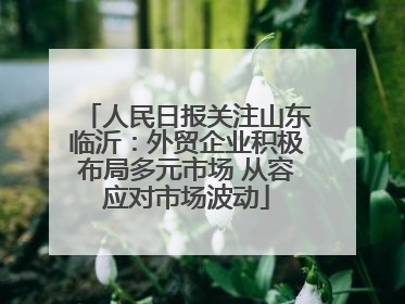 人民日报关注山东临沂：外贸企业积极布局多元市场 从容应对市场波动