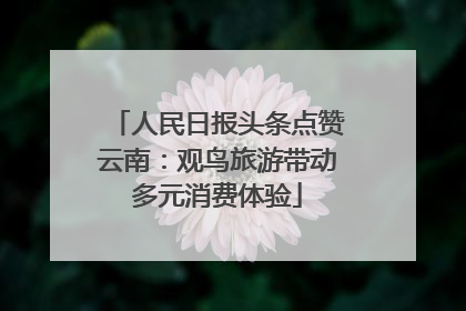 人民日报头条点赞云南：观鸟旅游带动多元消费体验