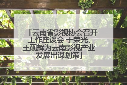 云南省影视协会召开工作座谈会 于荣光、王砚辉为云南影视产业发展出谋划策