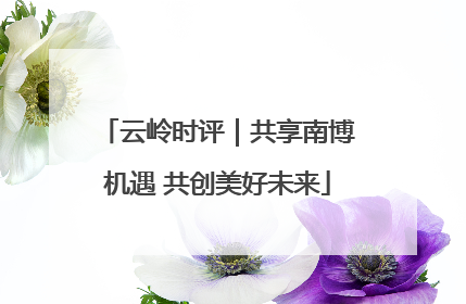 云岭时评｜共享南博机遇 共创美好未来