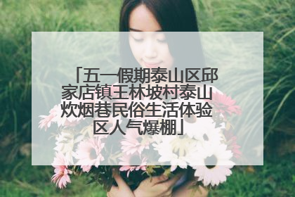 五一假期泰山区邱家店镇王林坡村泰山炊烟巷民俗生活体验区人气爆棚