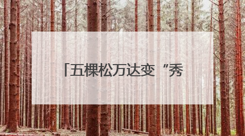 五棵松万达变“秀场”，北服研究生毕业作品展举行