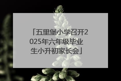 五里堡小学召开2025年六年级毕业生小升初家长会