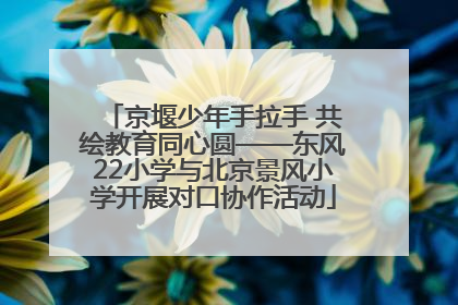 京堰少年手拉手 共绘教育同心圆——东风22小学与北京景风小学开展对口协作活动