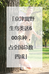 京津冀野生鸟类达600余种，占全国总数四成