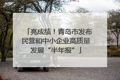 亮成绩！青岛市发布民营和中小企业高质量发展“半年报”