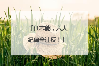 任志能，六大纪律全违反！