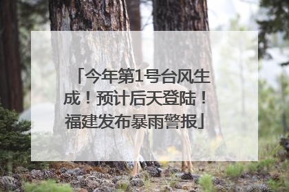 今年第1号台风生成！预计后天登陆！福建发布暴雨警报