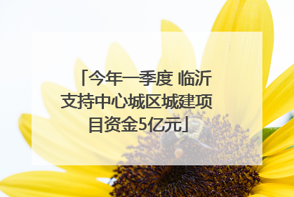 今年一季度 临沂支持中心城区城建项目资金5亿元