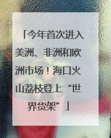 今年首次进入美洲、非洲和欧洲市场！海口火山荔枝登上“世界货架”