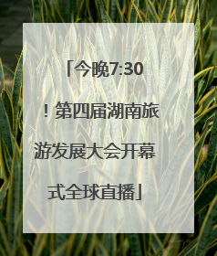 今晚7:30！第四届湖南旅游发展大会开幕式全球直播