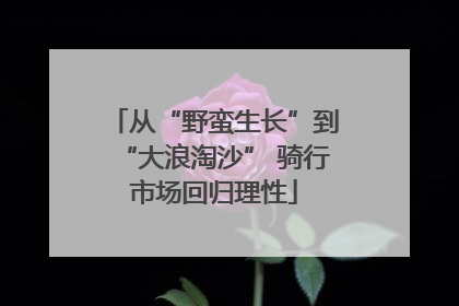 从“野蛮生长”到“大浪淘沙” 骑行市场回归理性