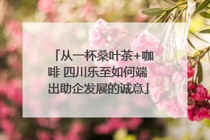 从一杯桑叶茶+咖啡 四川乐至如何端出助企发展的诚意