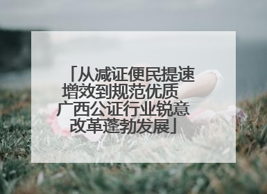 从减证便民提速增效到规范优质 广西公证行业锐意改革蓬勃发展