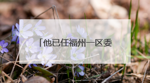 他已任福州一区委常委、区政府副区长人选（附简历）