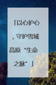 以心护心，守护雪域高原“生命之脉”