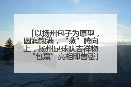 以扬州包子为原型，圆润饱满，“蒸”腾向上，扬州足球队吉祥物“包赢”亮相即售罄