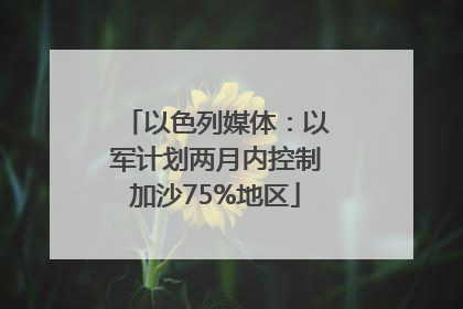 以色列媒体：以军计划两月内控制加沙75%地区