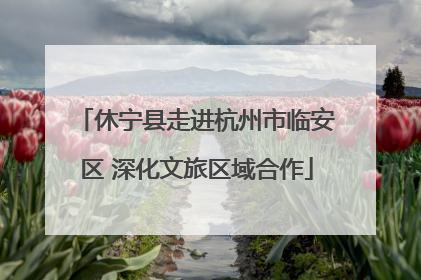 休宁县走进杭州市临安区 深化文旅区域合作