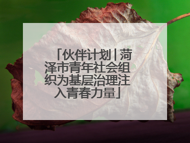 伙伴计划│菏泽市青年社会组织为基层治理注入青春力量