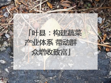 叶县：构建蔬菜产业体系 带动群众增收致富