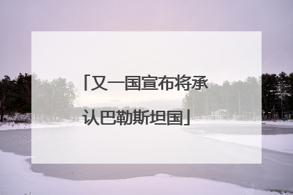 又一国宣布将承认巴勒斯坦国