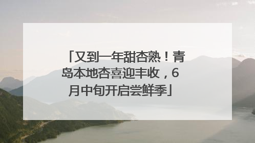又到一年甜杏熟！青岛本地杏喜迎丰收，6月中旬开启尝鲜季