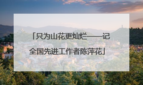 只为山花更灿烂——记全国先进工作者陈萍花