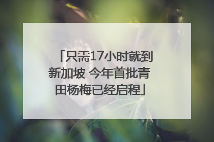 只需17小时就到新加坡 今年首批青田杨梅已经启程