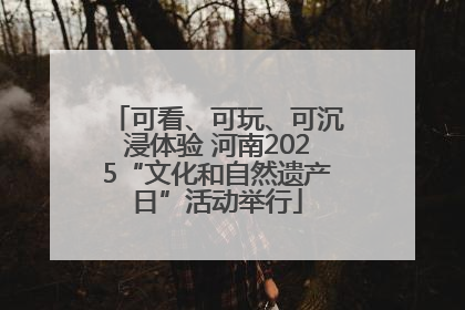 可看、可玩、可沉浸体验 河南2025“文化和自然遗产日”活动举行