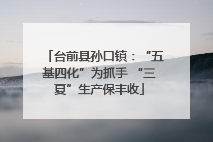 台前县孙口镇：“五基四化”为抓手 “三夏”生产保丰收