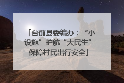 台前县委编办：“小设施”护航“大民生” 保障村民出行安全