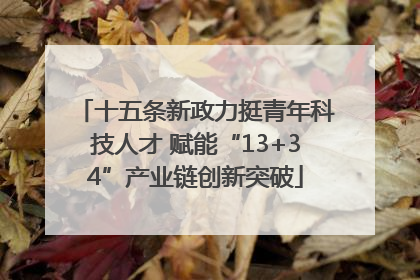 十五条新政力挺青年科技人才 赋能“13+34”产业链创新突破