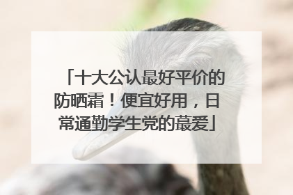 十大公认最好平价的防晒霜！便宜好用，日常通勤学生党的蕞爱