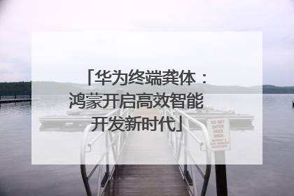 华为终端龚体：鸿蒙开启高效智能开发新时代