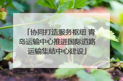 协同打造服务枢纽 青岛运输中心推进国际道路运输集结中心建设