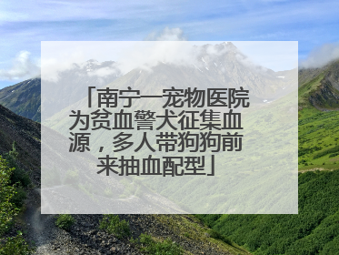 南宁一宠物医院为贫血警犬征集血源，多人带狗狗前来抽血配型